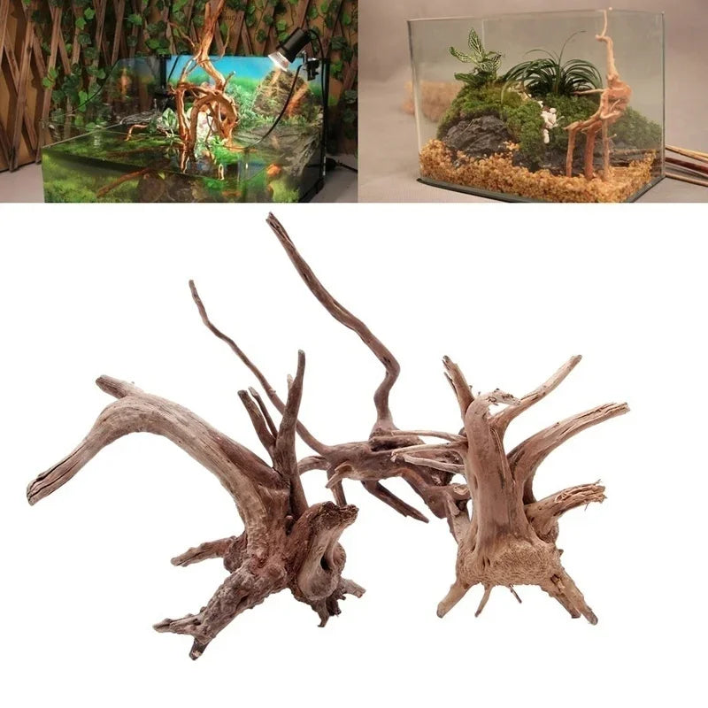 Natural Driftwood Tree Trunk Decor for Aquariums and Reptile Tanks