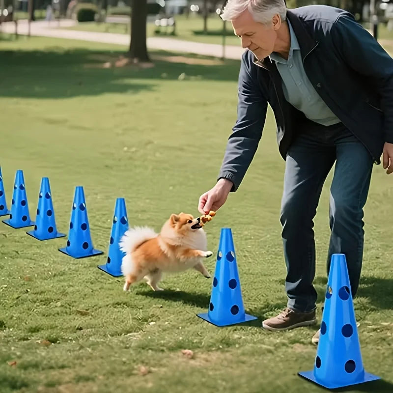 Dog Agility Training Set with Hurdle Stand & Roadblock Bucket