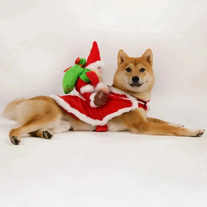 Funny Santa Rider Christmas Costume for Dogs & Cats