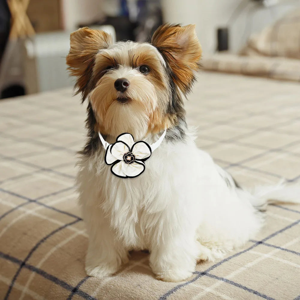 Adjustable Dog Bow Tie Collar with Pearl Necklace 5 Pack
