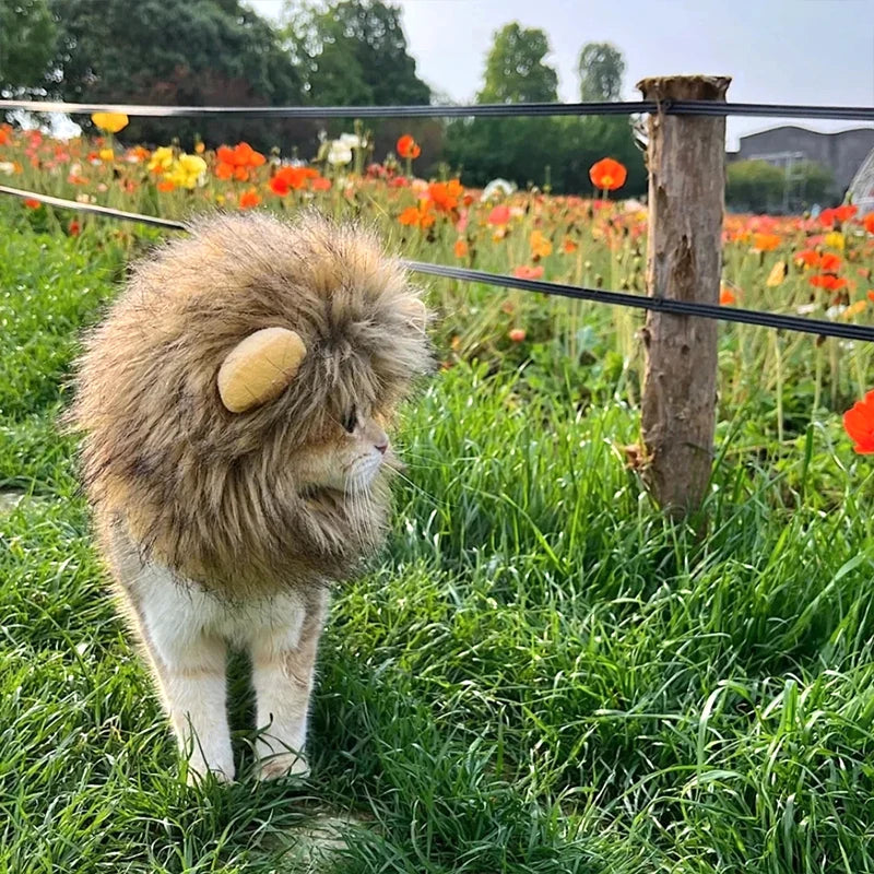 Halloween Lion Mane Wig Costume Hat with Ears for Cats & Small Dogs