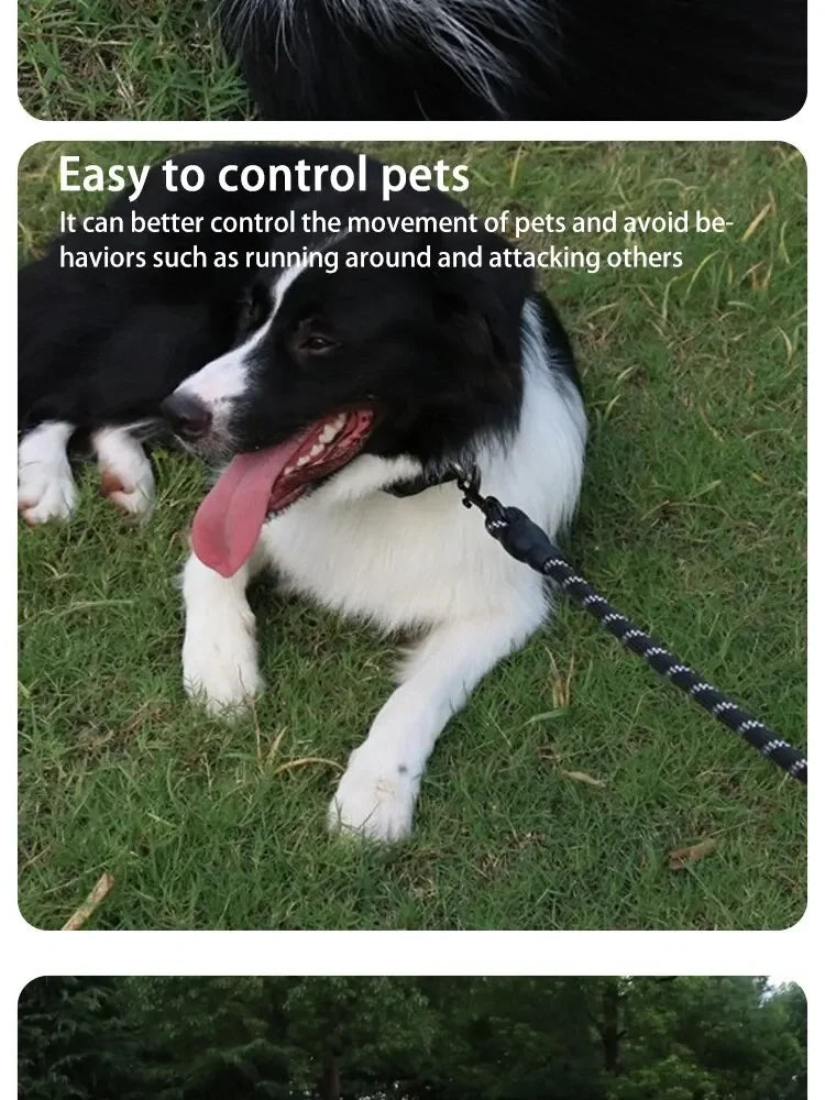 Reflective Nylon Round Dog Leash, No-Strangle Walking Lead