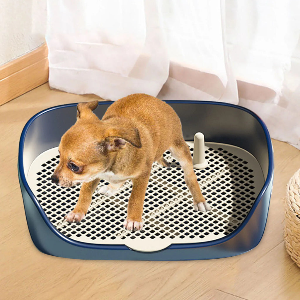 Indoor Dog Potty Tray with Splash Wall, Pee Pad Holder for Puppies