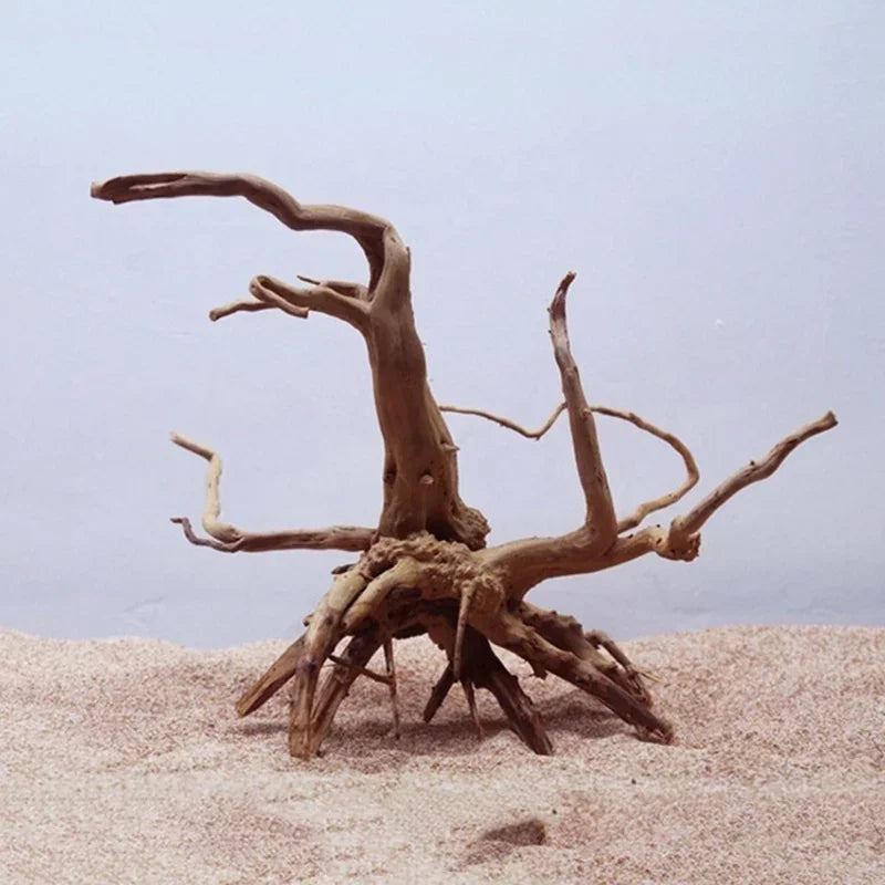 Natural Driftwood Tree Trunk Decor for Aquariums and Reptile Tanks