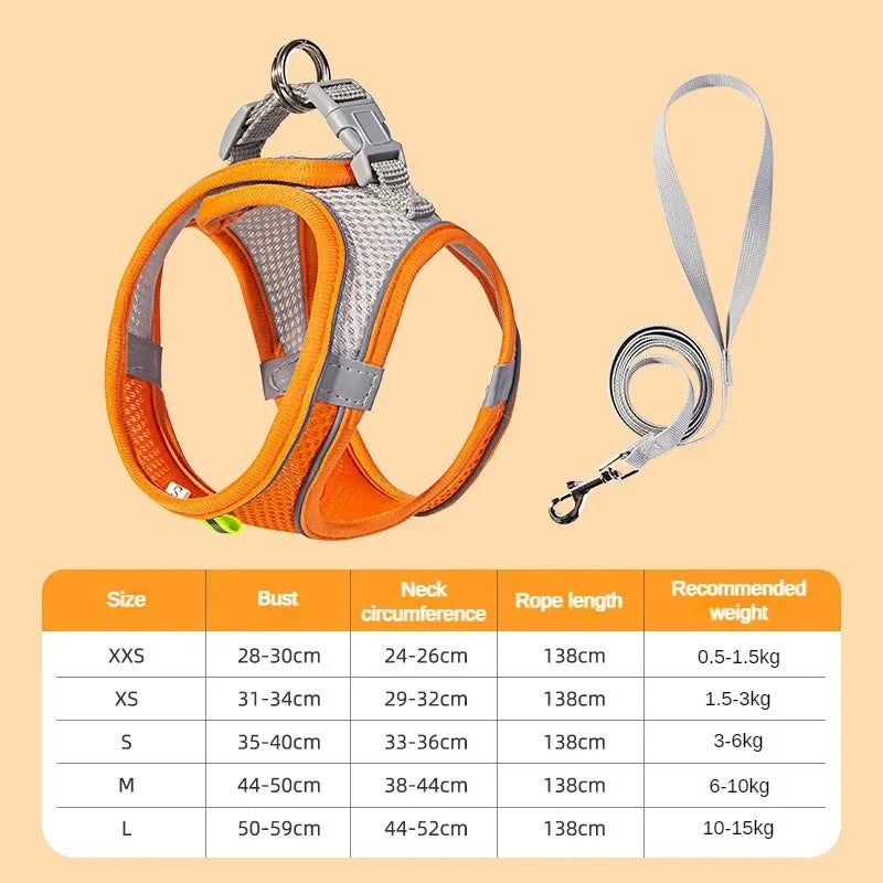 Puppy Harness & Leash Vest Set for Small Dogs, Adjustable