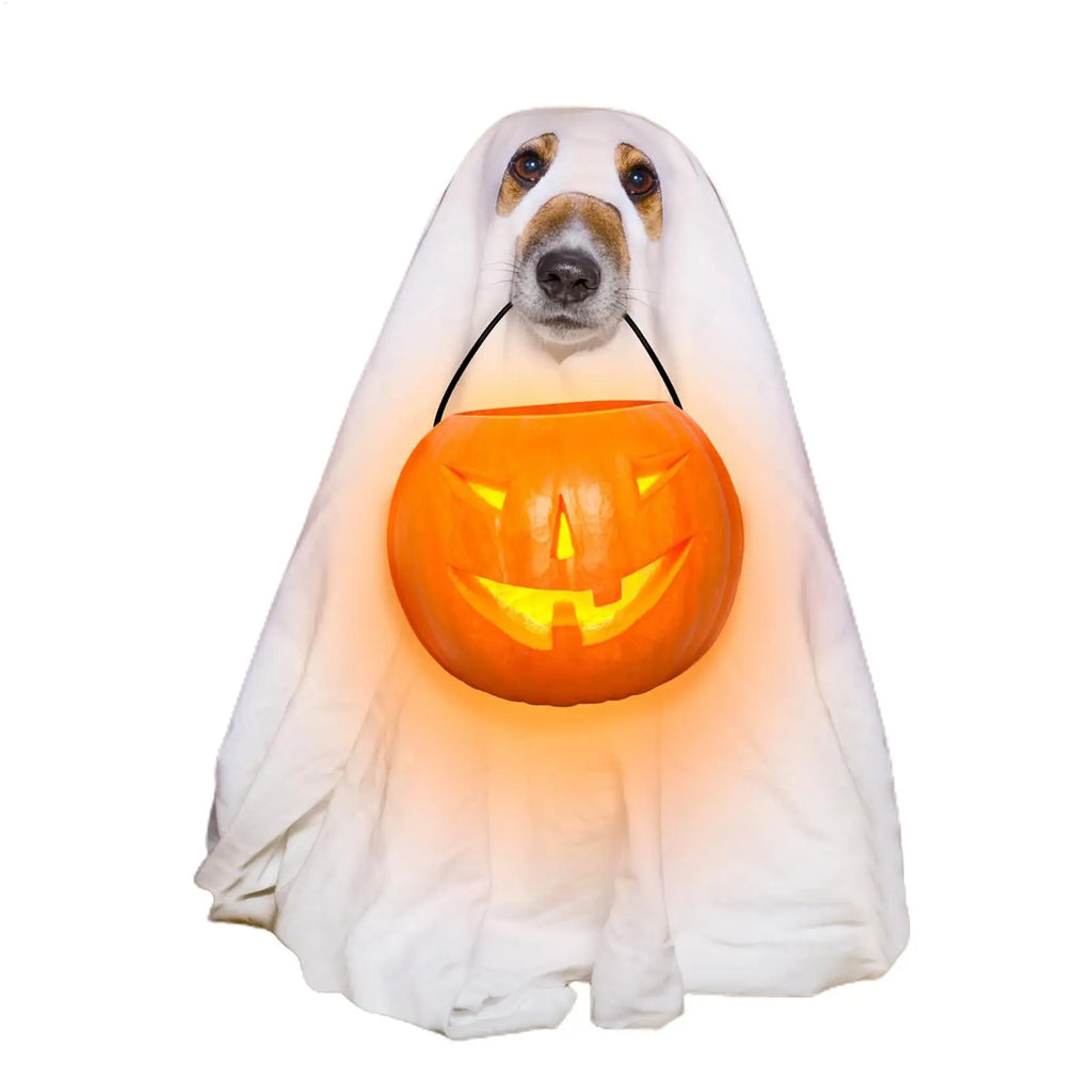 Dog Ghost Halloween Costume Cosplay Party Outfit for Pets