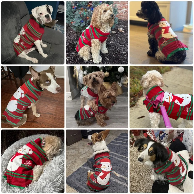 Soft Warm Christmas Turtleneck Dog Sweater for Small Dogs