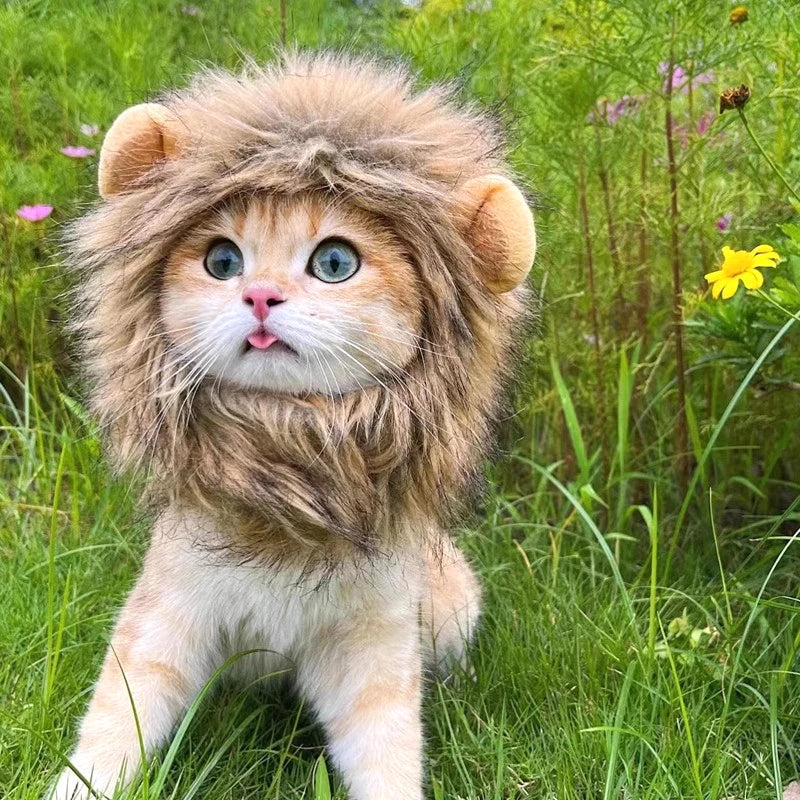 Halloween Lion Mane Wig Costume Hat with Ears for Cats & Small Dogs