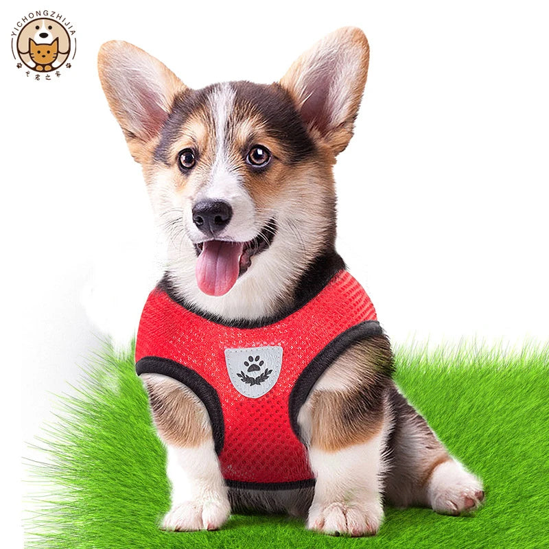 Breathable Dog Chest Harness with Leash – Summer Mesh Vest Set