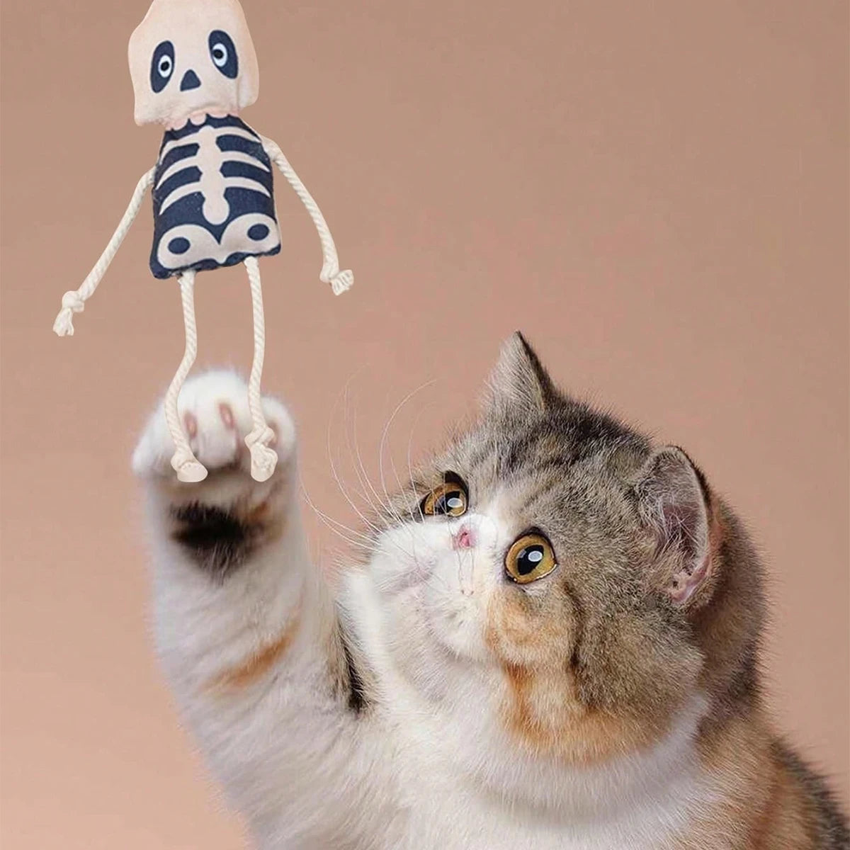 Halloween Skeleton Cat Toy, Plush Kitten Chew Toy with Rope Tail