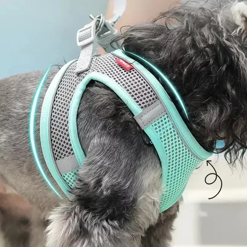 Puppy Harness & Leash Vest Set for Small Dogs, Adjustable