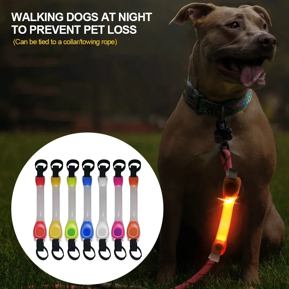 Glowing LED Anti-Lost Dog Collar with Pendant, Waterproof