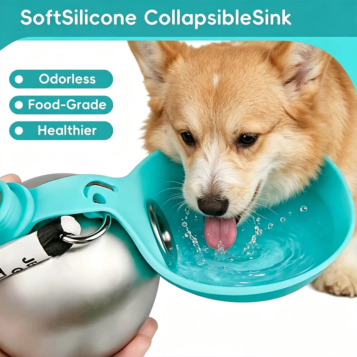 2-in-1 Portable Dog Water Bottle and Bowl for Walks and Travel