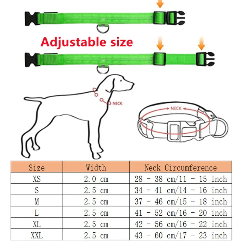LED Glow Dog Collar – USB Rechargeable Night Safety Collar