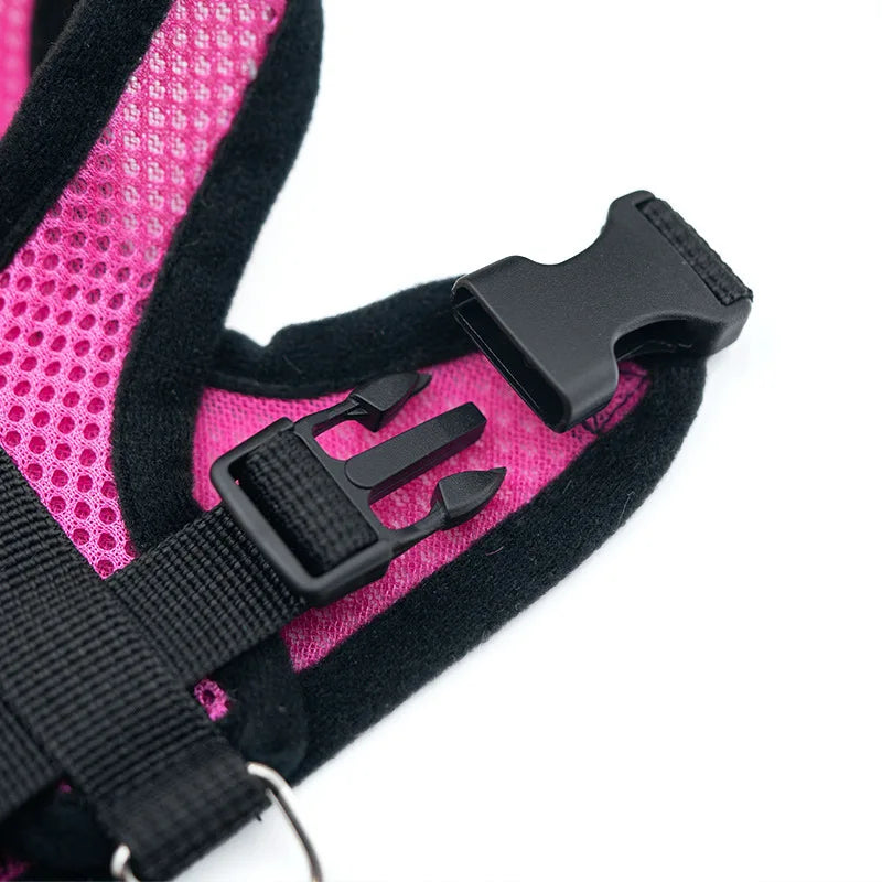 Breathable Dog Chest Harness with Leash – Summer Mesh Vest Set