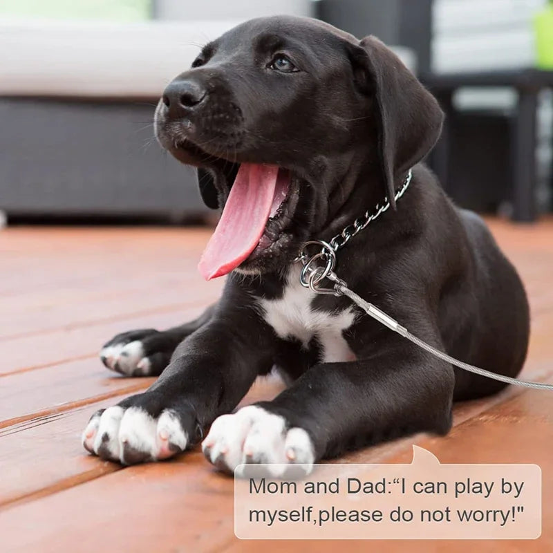 Double-Headed Dog Tie Out Cable, Rust-Proof Steel Wire Leash