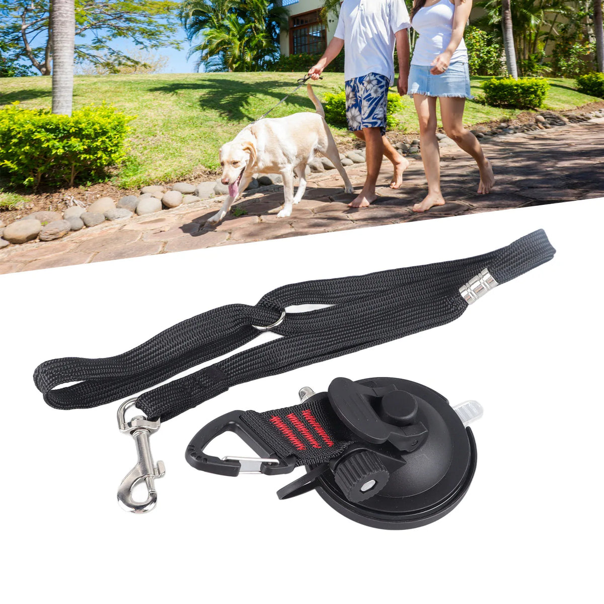 Dog Bathing Tether with Suction Cup, Adjustable Tub Grooming Restraint