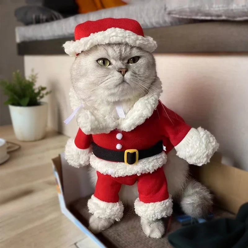 Dog Santa Claus Christmas Costume for Small Dogs & Cats