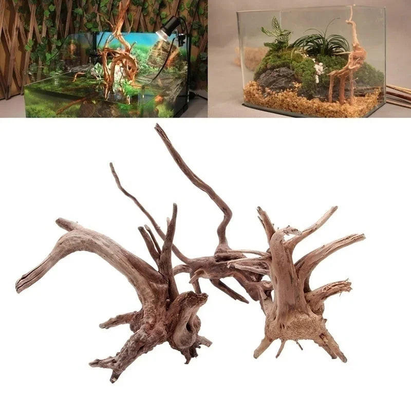 Natural Driftwood Tree Trunk Decor for Aquariums and Reptile Tanks