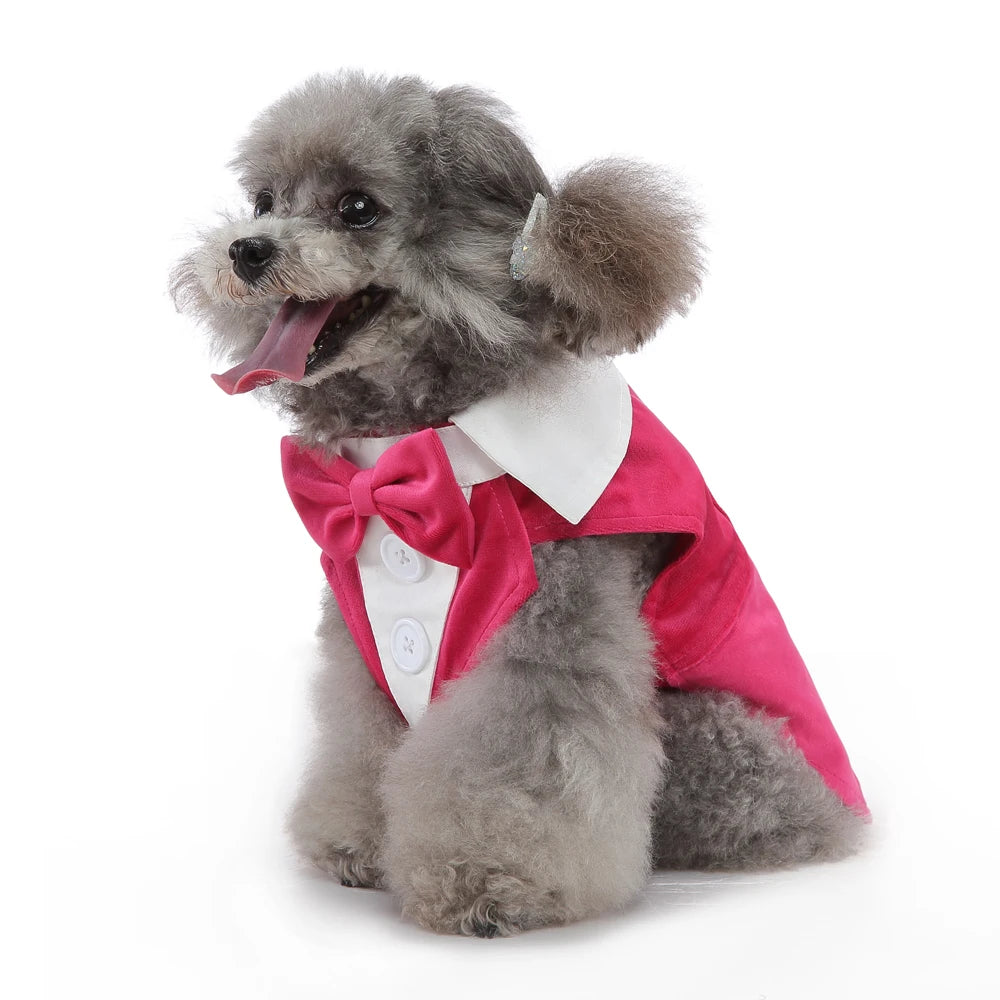 Dog Tuxedo Formal Suit, Christmas & Halloween Party Costume