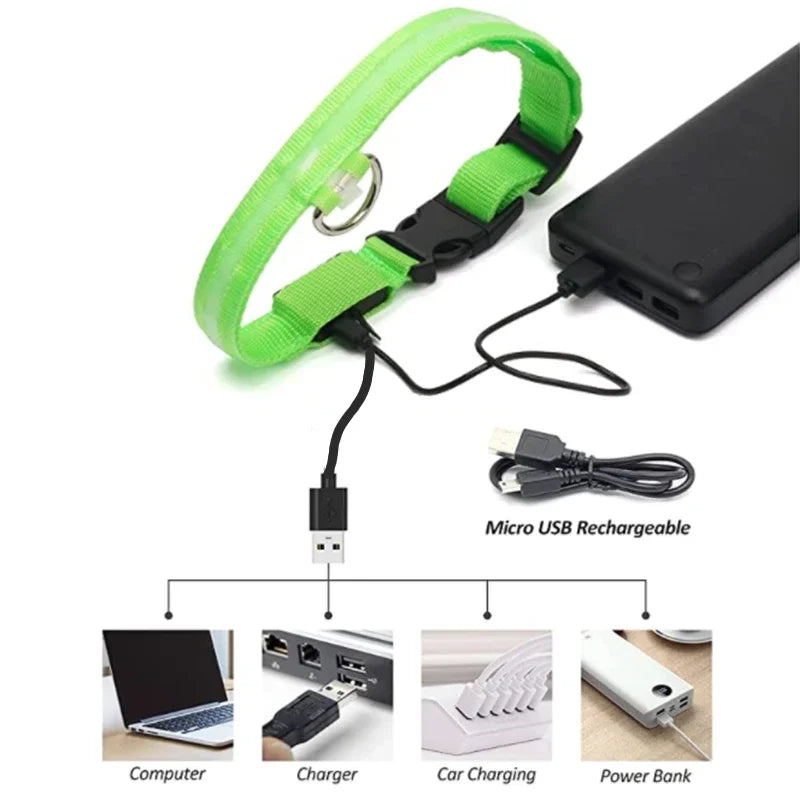 LED Glow Dog Collar – USB Rechargeable Night Safety Collar