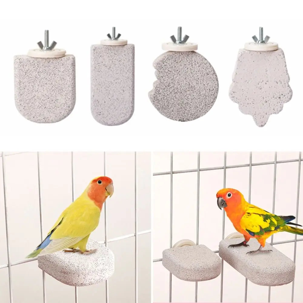 Pumice Bird Perch Platform for Parrots, Claw & Beak Grinding Stand