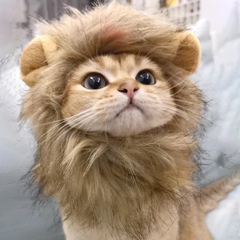Halloween Lion Mane Wig Costume Hat with Ears for Cats & Small Dogs