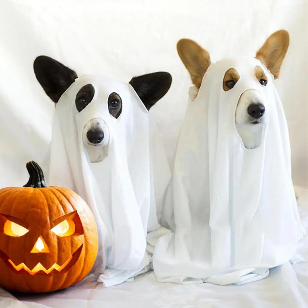 Dog Ghost Halloween Costume Cosplay Party Outfit for Pets