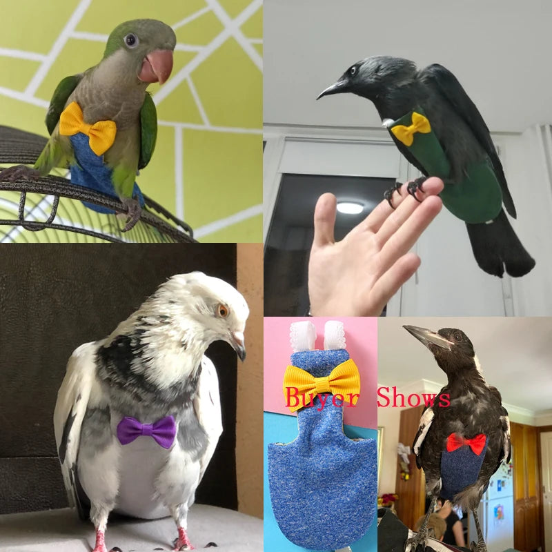 Parrot Flight Suit Diaper, Washable Bird Nappy for Cockatiels & Conures