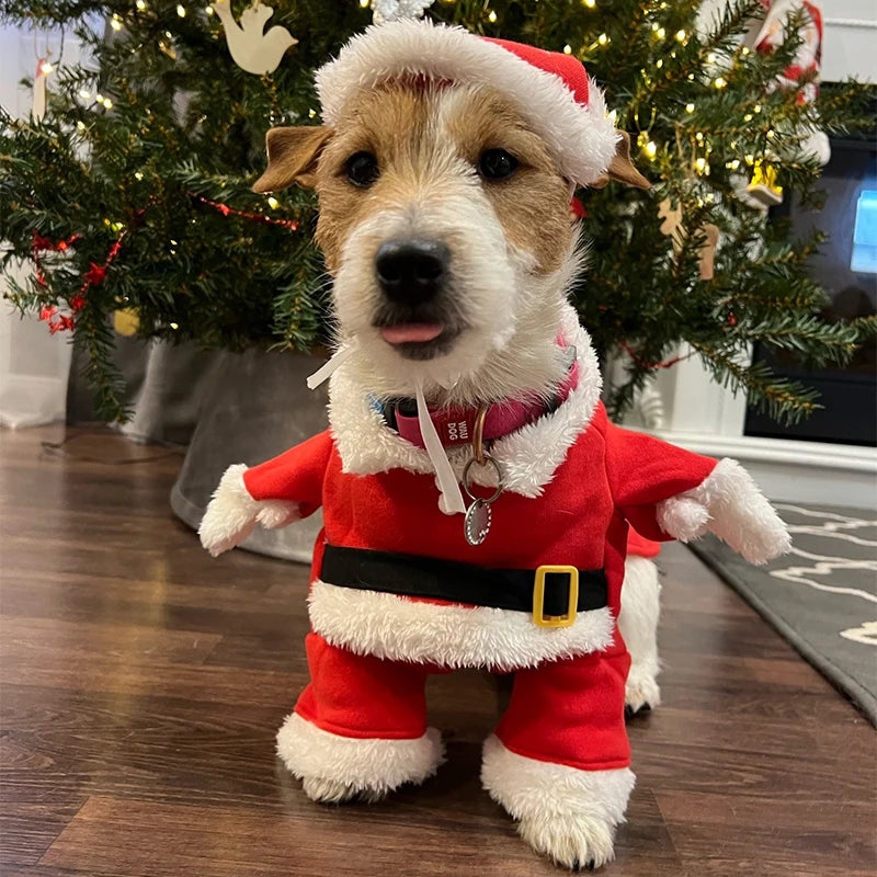 Funny Santa Claus Costume for Small & Medium Dogs and Cats