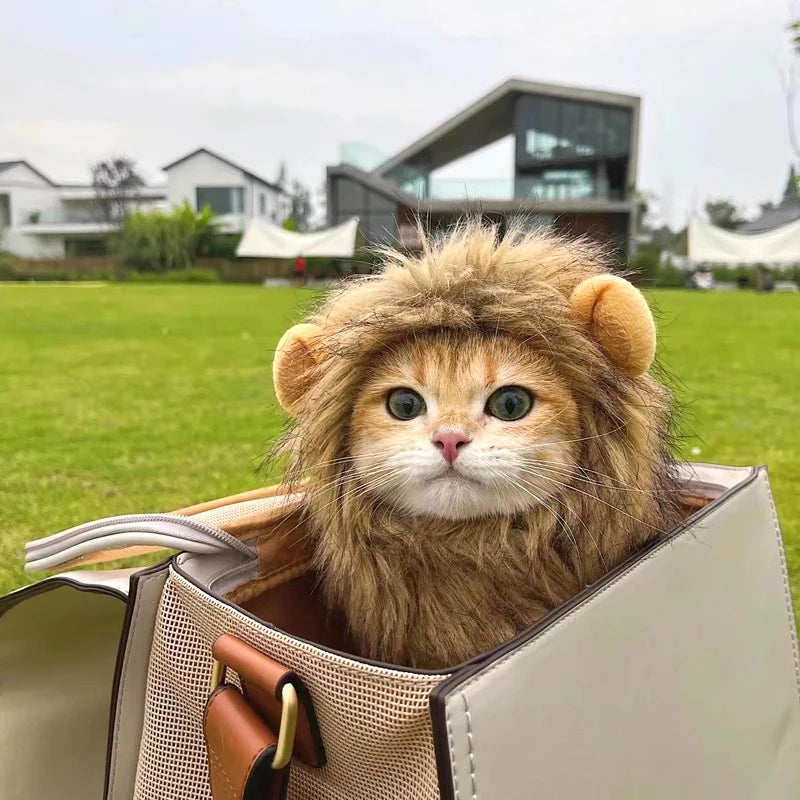 Halloween Lion Mane Wig Costume Hat with Ears for Cats & Small Dogs