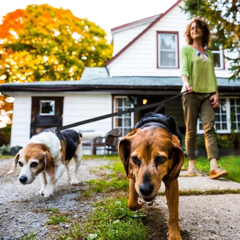 Tangle-Free V-Shape Double Dog Leash Coupler for Walking Two Dogs