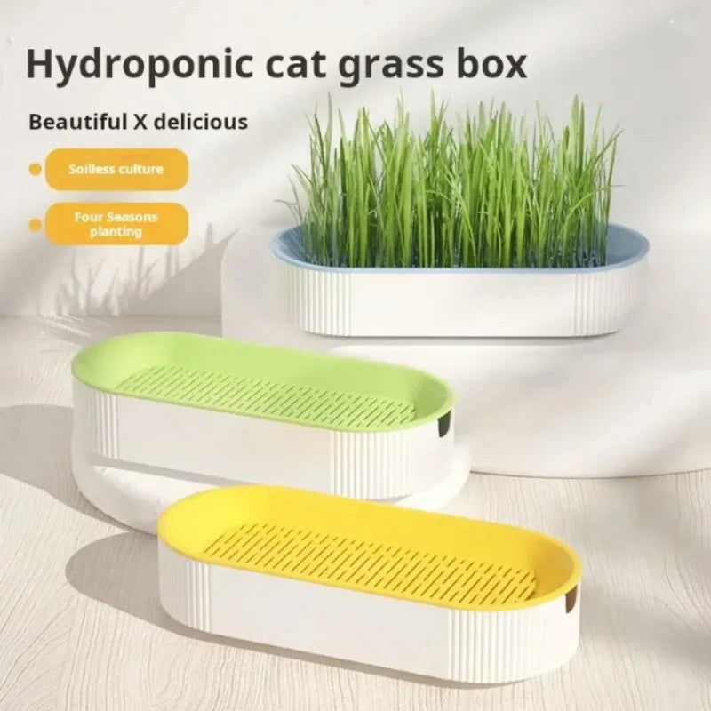 Hydroponic Cat Grass Grow Kit, Soil-Free Planter for Indoor Cats