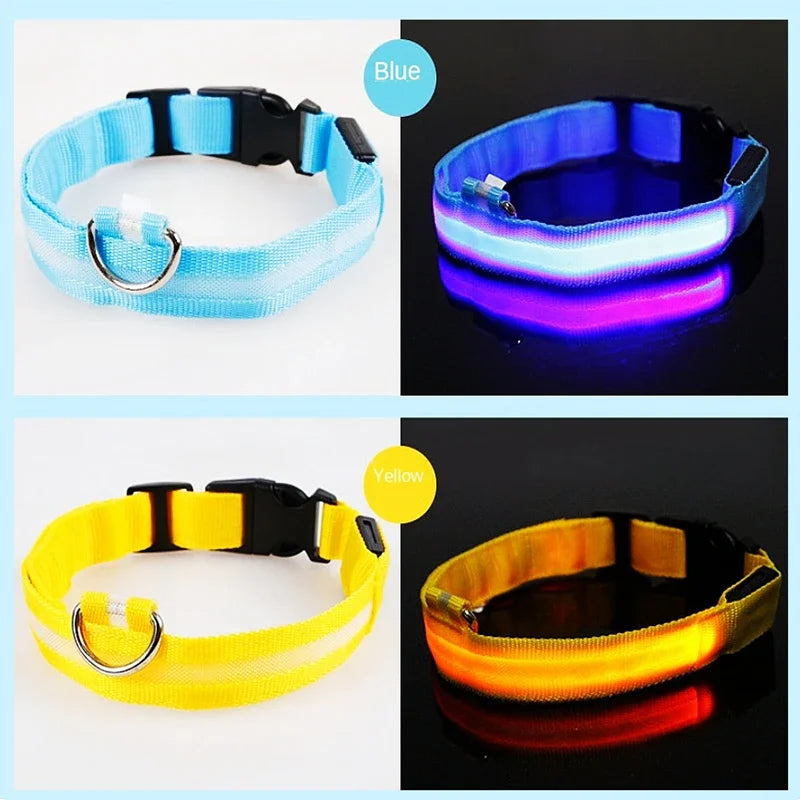 LED Glow Dog Collar – USB Rechargeable Night Safety Collar