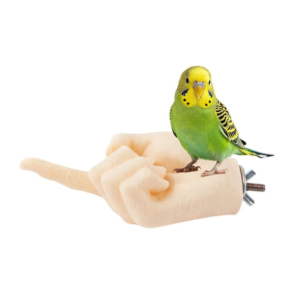 Interactive Hand-Shaped Bird Perch Stand for Conures & Cockatiels