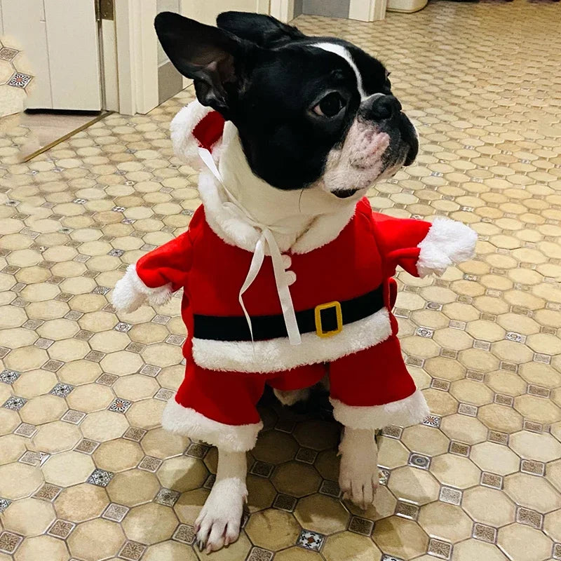 Dog Santa Claus Christmas Costume for Small Dogs & Cats