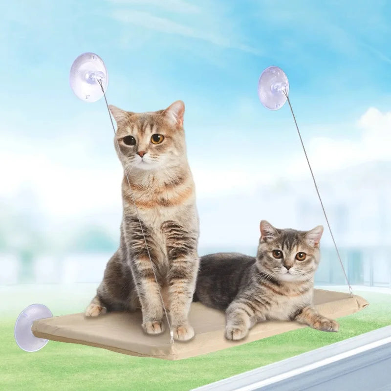 Wall-Mounted Cat Hammock with Climbing Frame, Holds Up to 44 lb