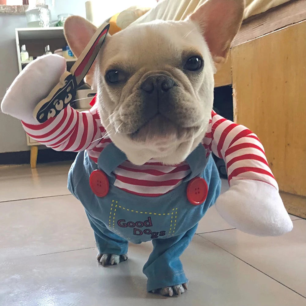 Funny Halloween Dog Costume Jacket for Small, Medium & Large Dogs