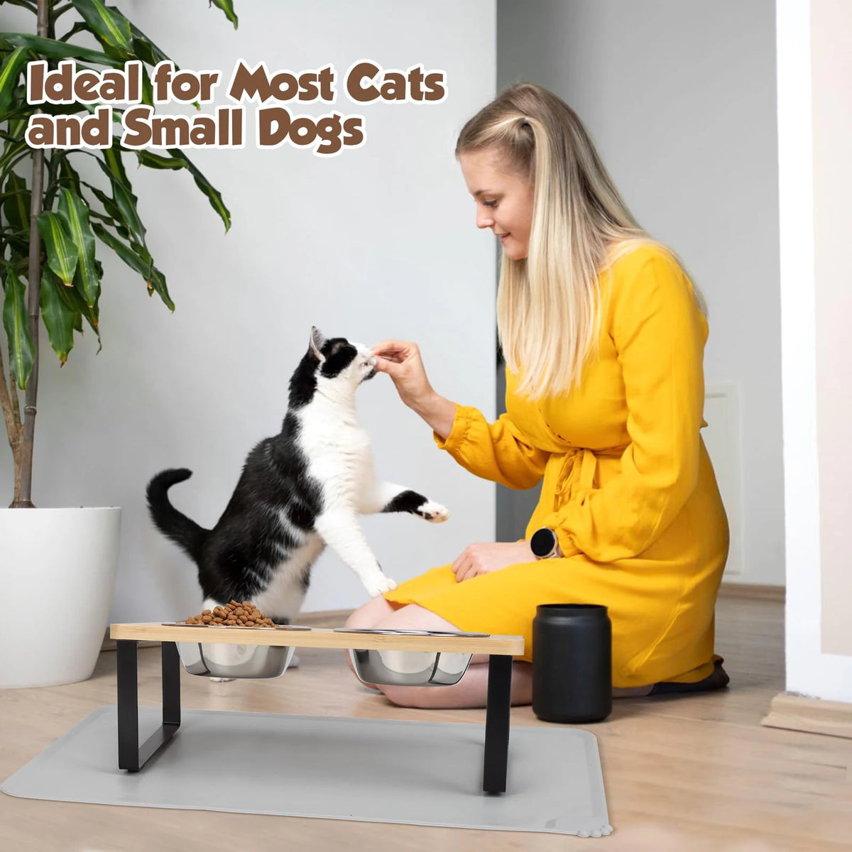 Tilted Elevated Cat Bowls with Wooden Stand, 2 Stainless Steel Bowls