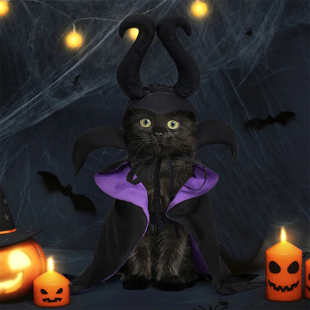 Halloween Maleficent Cape with Hat Costume for Dogs & Cats Party