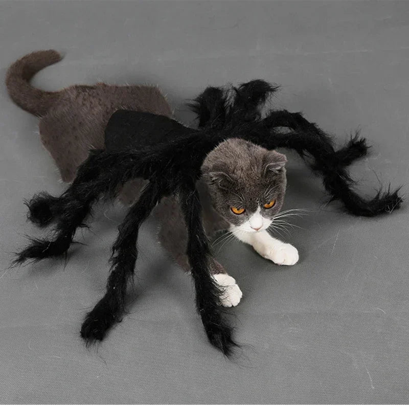 Furry Spider Costume for Dogs and Cats, Easy-On Halloween Pet Outfit
