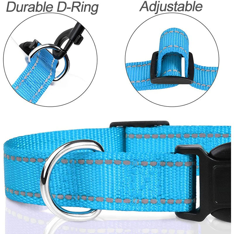 Adjustable Nylon Dog Collar, Soft Buckle Collar for Puppies & Dogs
