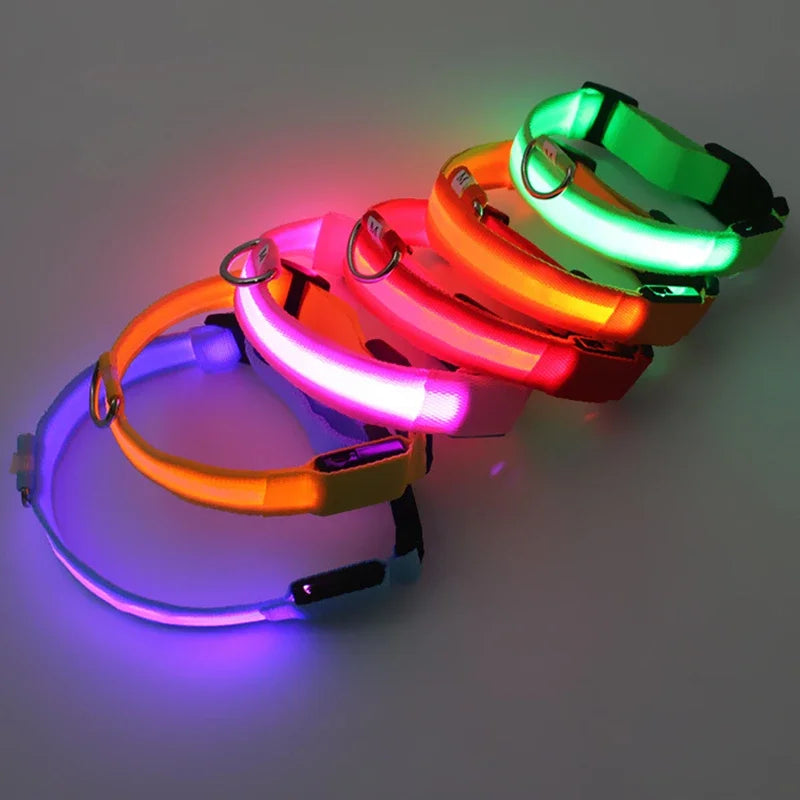 LED Glow Dog Collar – USB Rechargeable Night Safety Collar