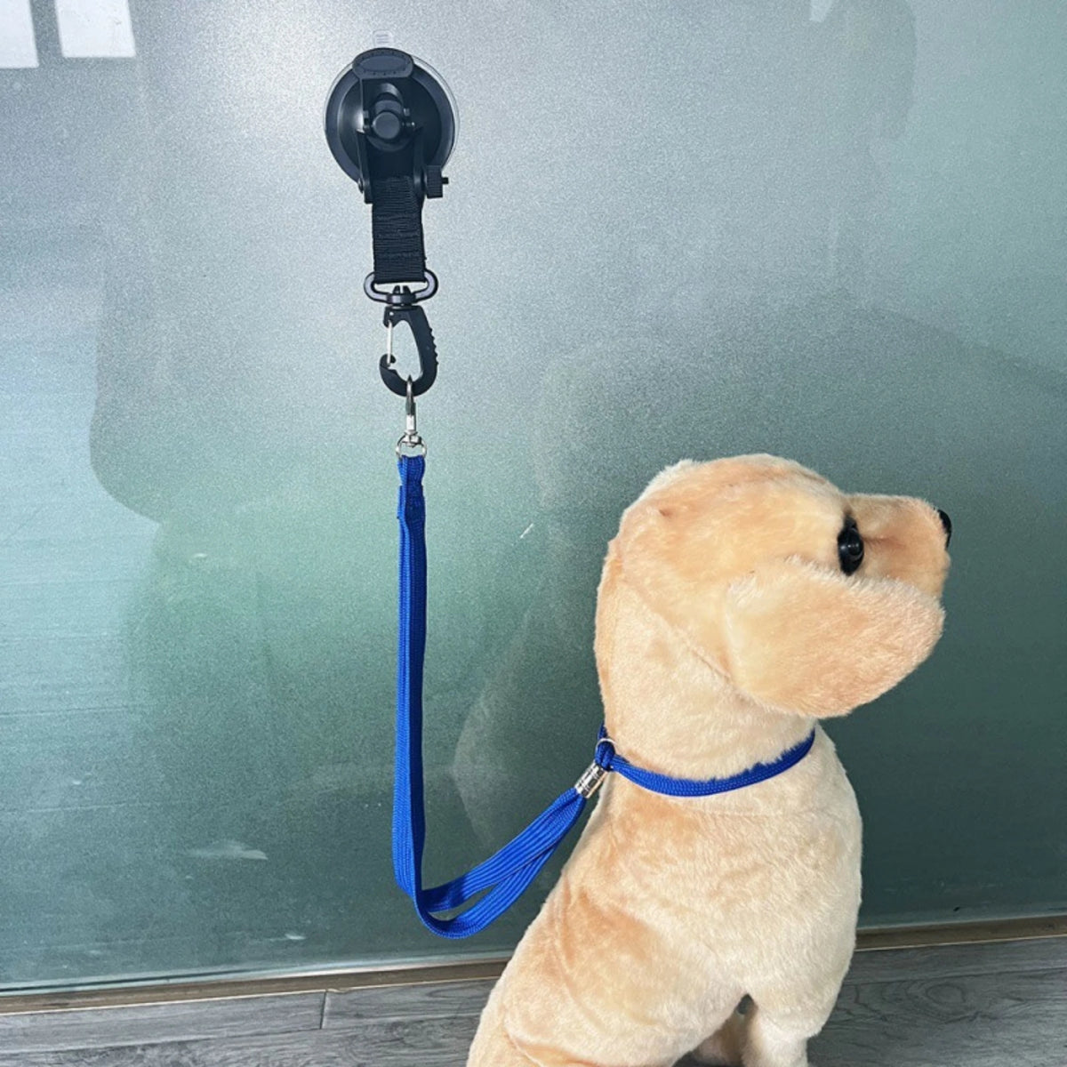 Adjustable Pet Grooming Loop for Bathing and Nail Trims