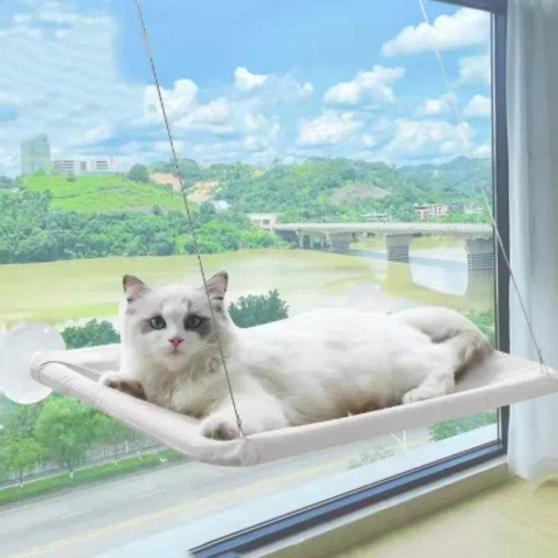 Wall-Mounted Cat Hammock with Climbing Frame, Holds Up to 44 lb