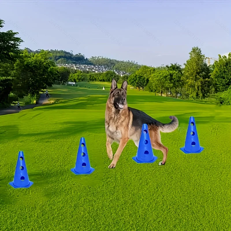 Dog Agility Training Set with Hurdle Stand & Roadblock Bucket