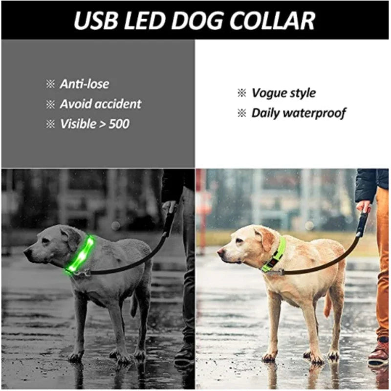 LED Glow Dog Collar – USB Rechargeable Night Safety Collar