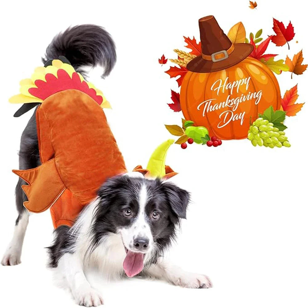 Thanksgiving Turkey Dog Costume for Small, Medium & Large Dogs