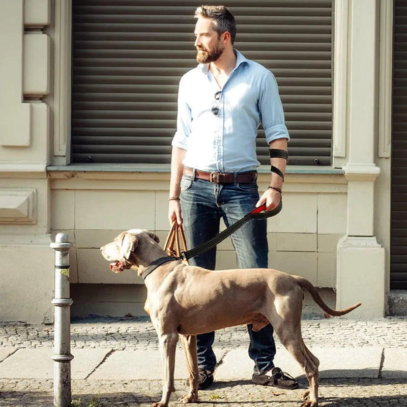 Heavy Duty Double Handle Dog Leash for Training and Traffic Control