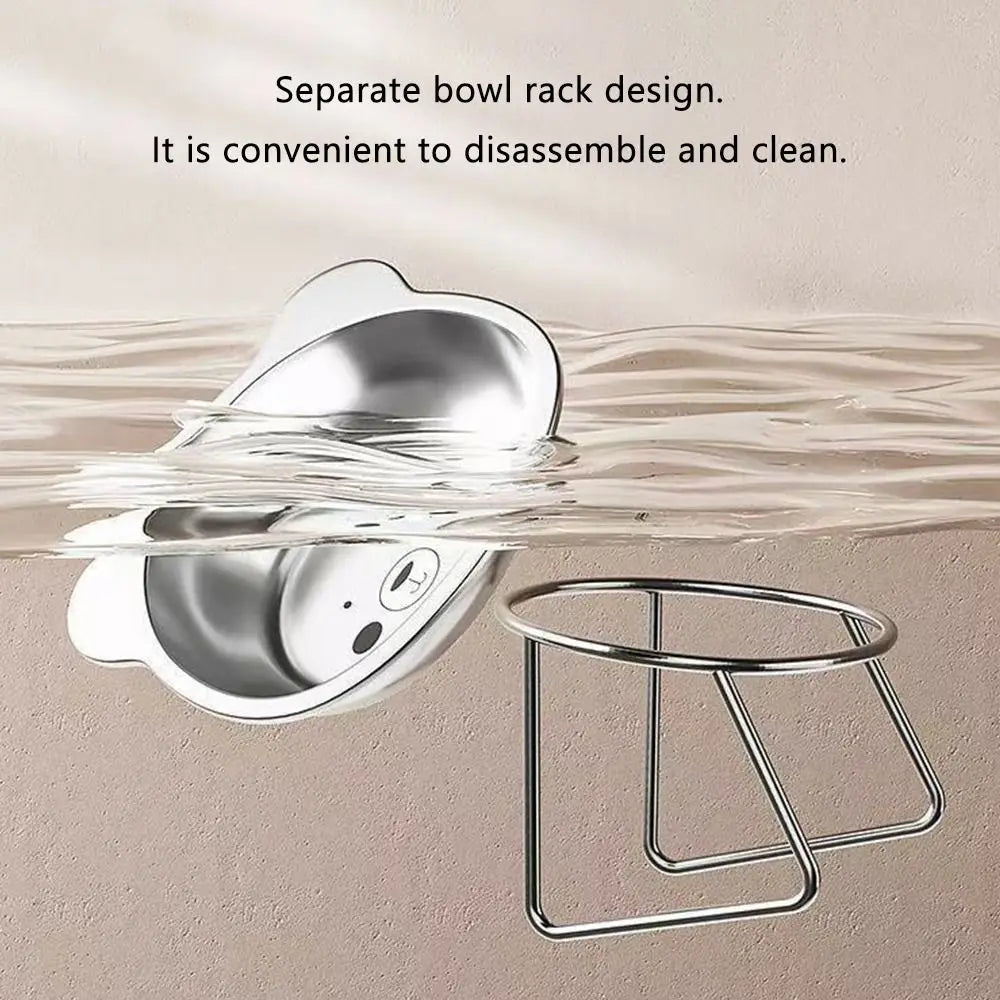Stainless Steel Raised Cat Bowl, 15° Tilted Neck-Friendly Feeder